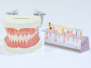 スヴァラ歯科 一般歯科